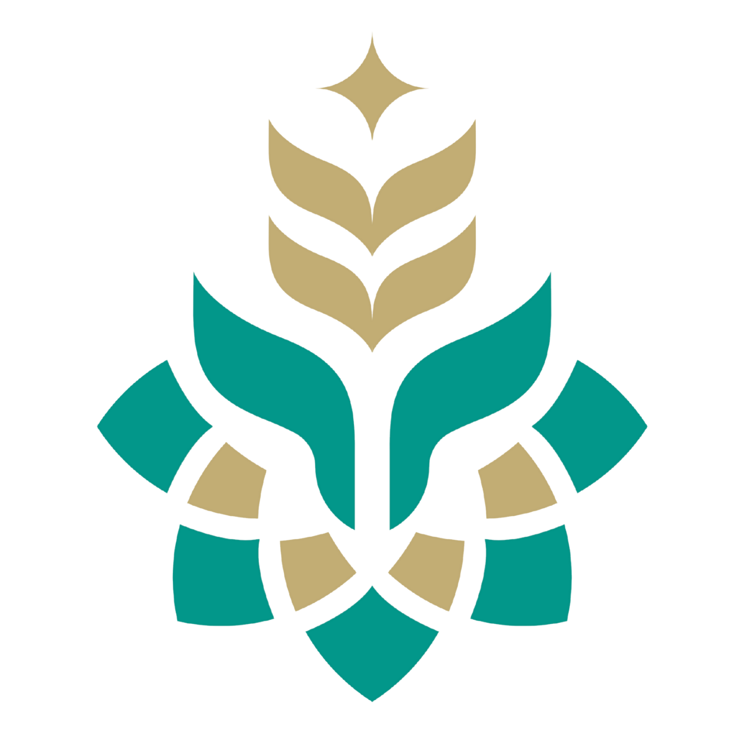 Lorem Ipsum 2